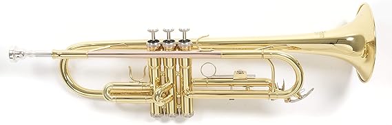 TROMPETA ROY BENSON LAQUEADA CON ESTUCHE