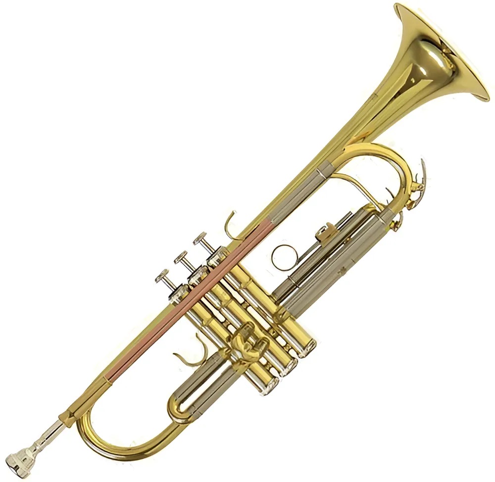 TROMPETA ROY BENSON CON ESTUCHE