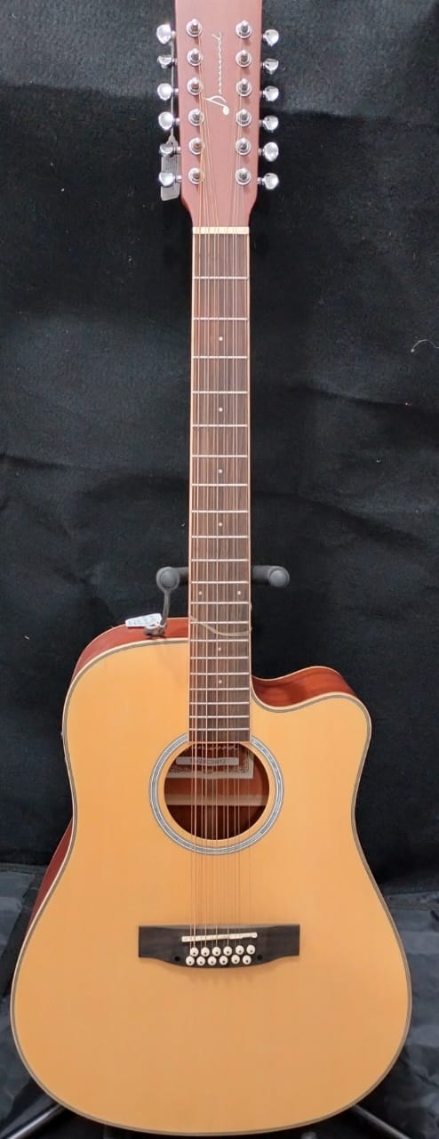 GUITARRA DOCEROLA DANWOOD CON FUNDA