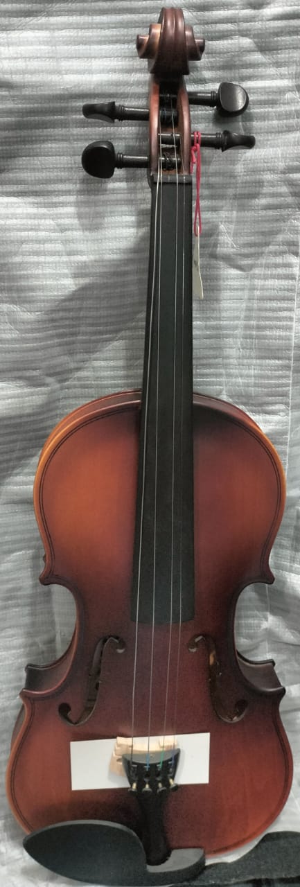 VIOLIN PARIS COLOR MATE SOMBREADO 